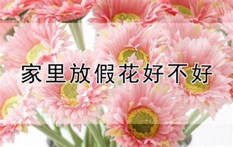 家裡為什麼不能放假花